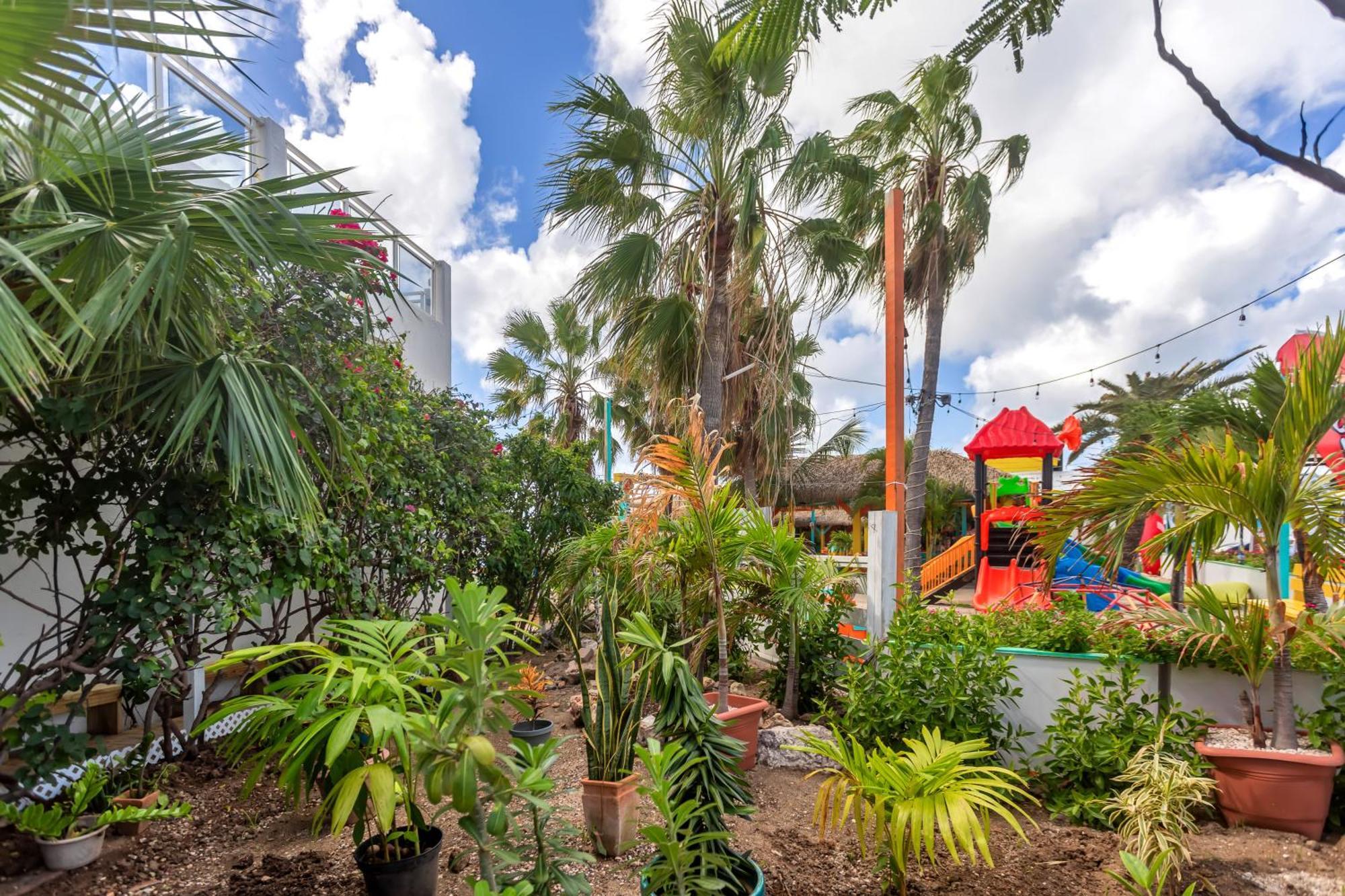 Maho Beach House - Grand Studio - Oceanview Suite Exterior photo